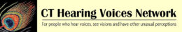 Deep River Hearing Voices Network Group
