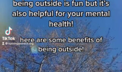 trees with text about benefits of being outside